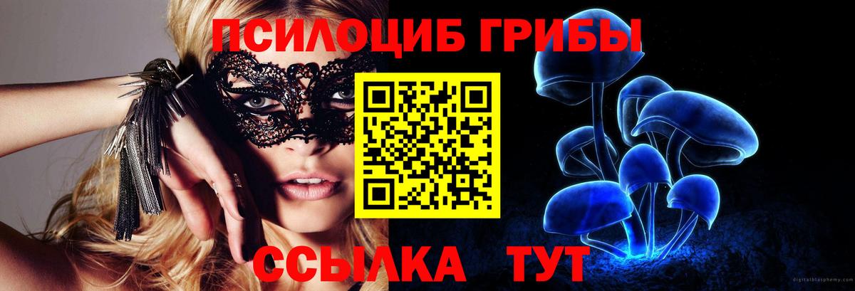 Мыски  Галлюциногенные грибы прущие грибы  Вход с VPN 