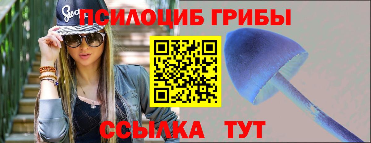 Галлюциногенные грибы Magic Shrooms Мыски